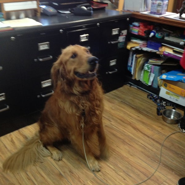 Dairydell Canine Dog Park