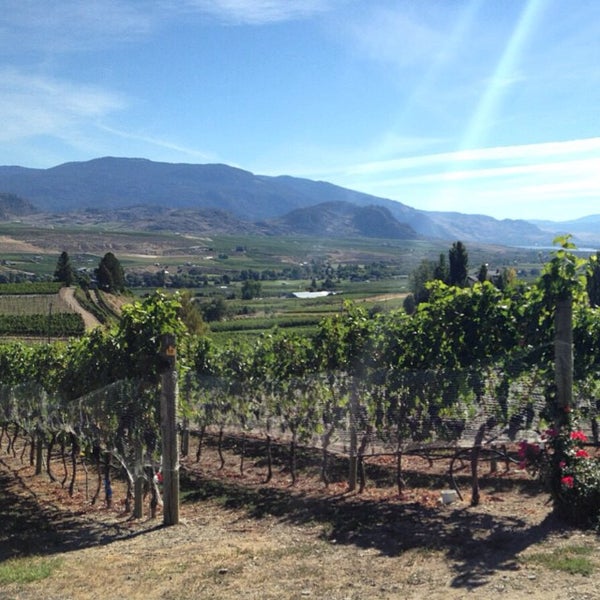 Foto scattata a Hester Creek Estate Winery da Mimo S. il 9/13/2014
