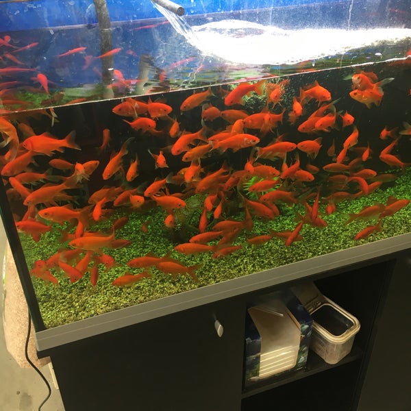 Photos At Aveve Izegem West Vlaanderen