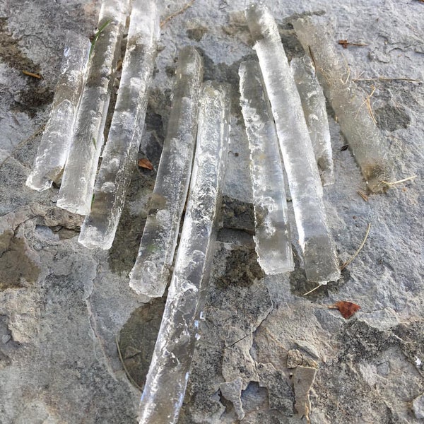 New Mexico Tech College and University in Socorro