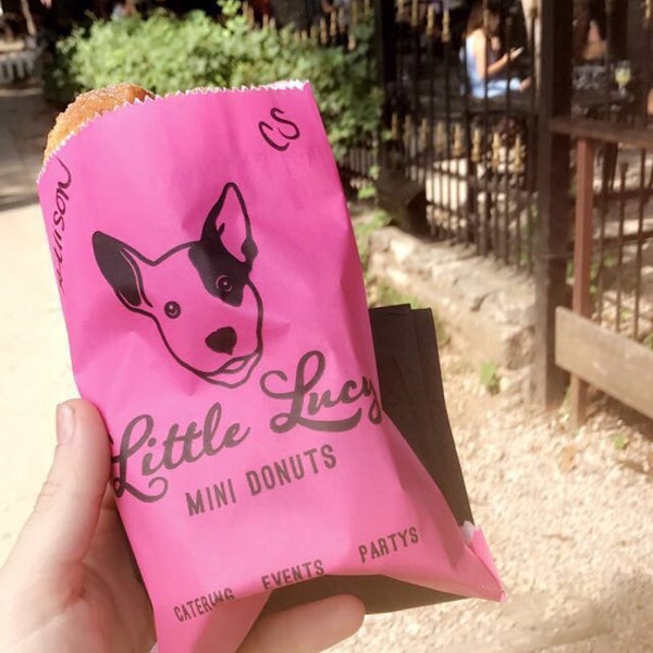 Little Lucy's is the caaa-utest.💕🐶🍩 Cinnamon Sugar 💯