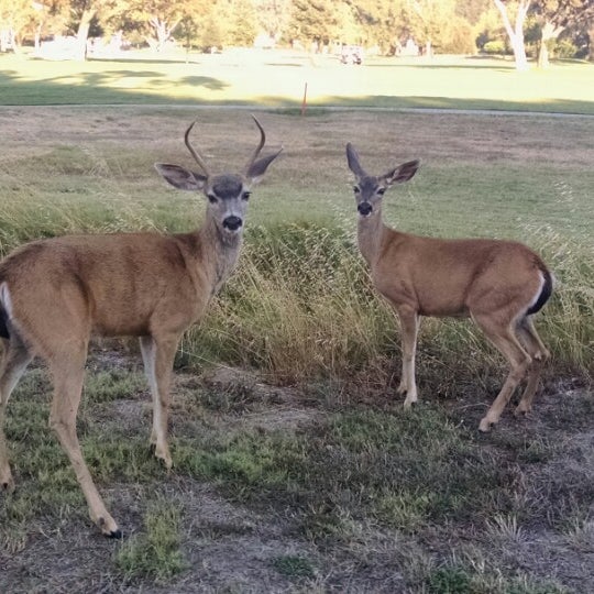 Das Foto wurde bei Peacock Gap Golf Club von Taffy L. am 7/31/2014 aufgenommen