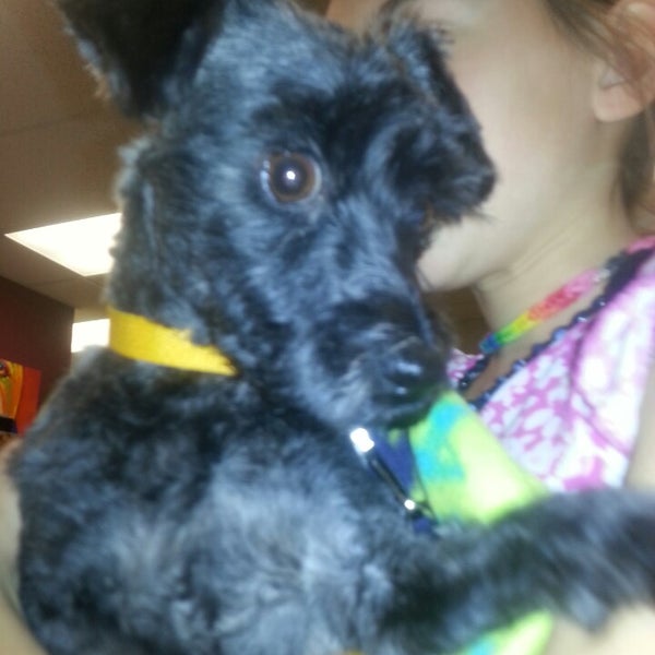 vca mccormick animal hospital