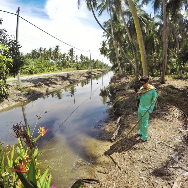 Destination Guide Kampung Sungai Tiang Perak In Malaysia Tripmondo