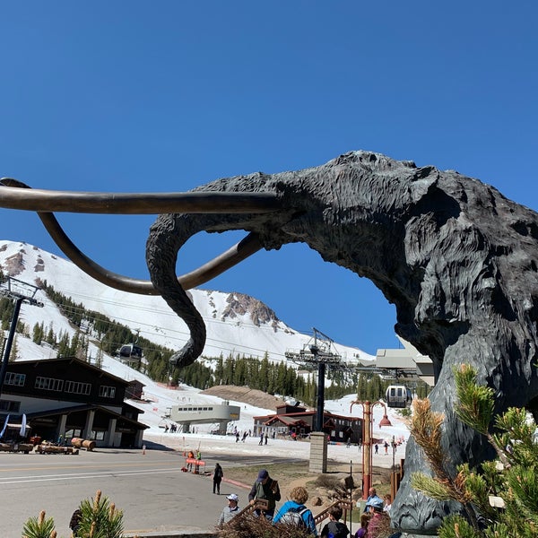 Photo taken at Mammoth Mountain Ski Resort by Monkey Face on 6/18/2019