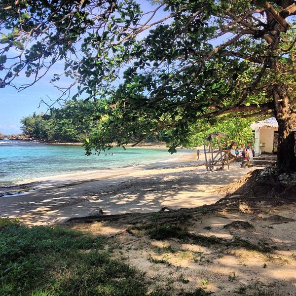 Winnifred Beach Beach in Fairy Hill