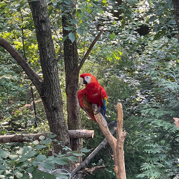 Foto diambil di Queens Zoo oleh Tom M. pada 8/20/2022