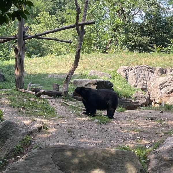 Photo taken at Queens Zoo by Tom M. on 8/20/2022
