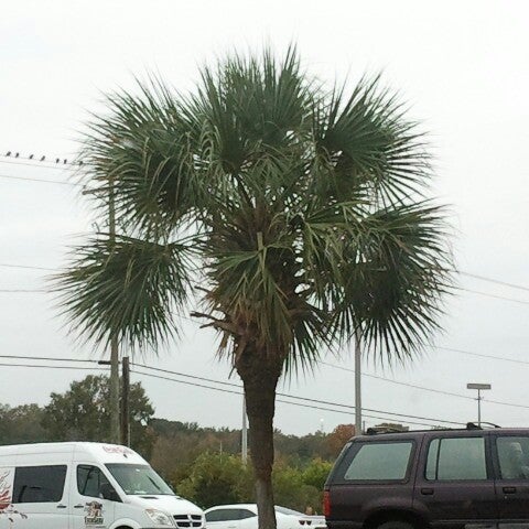 Photo taken at Lowcountry Visitors Center &amp; Museum (at Frampton Plantation) by Ann C. on 11/14/2012