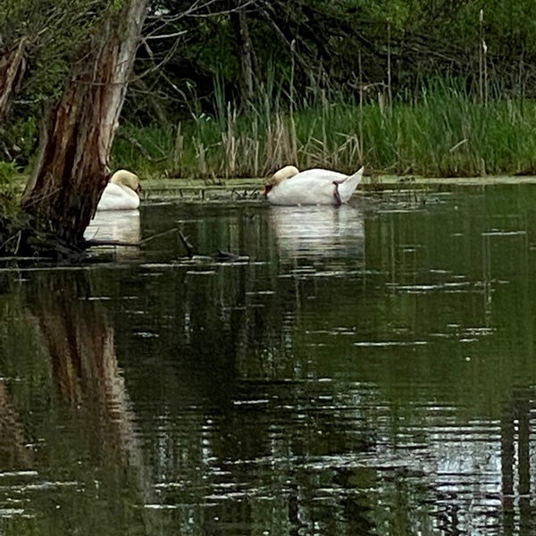 Photos at Drowned Lands Brewery Warwick, NY