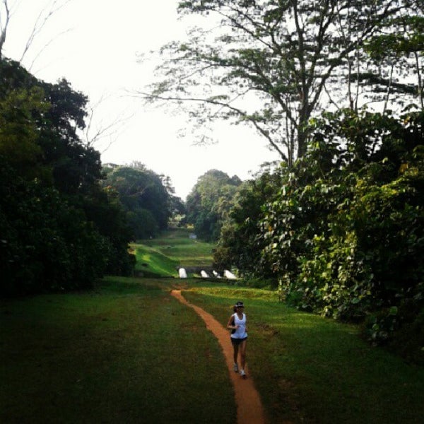 Along park