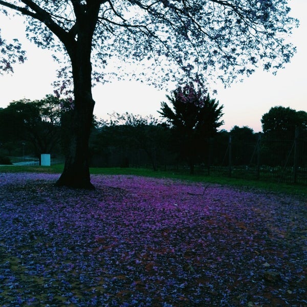 Cemitério Vila Formosa Carrão Av. João XXIII, 2537