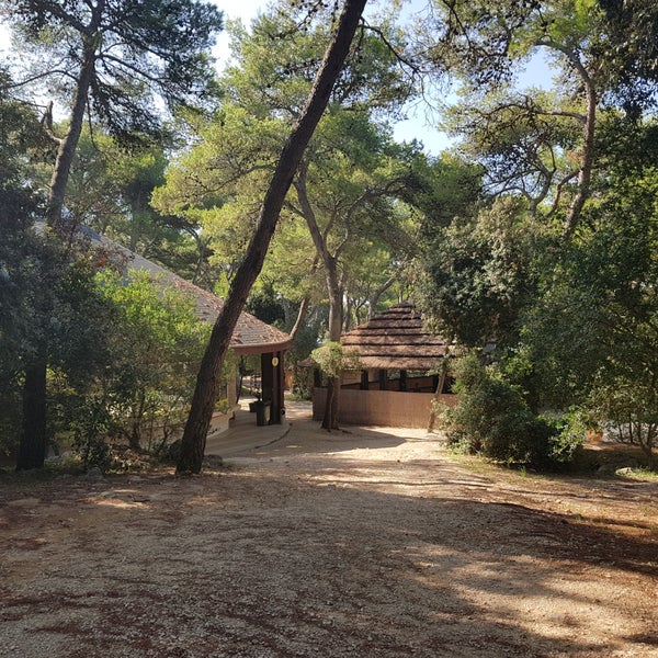 РљРµРјРїРёРЅРі Pine Beach