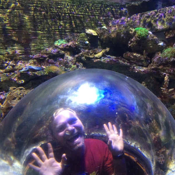 รูปภาพถ่ายที่ Sea Life Aquarium โดย Kerry เมื่อ 5/30/2016