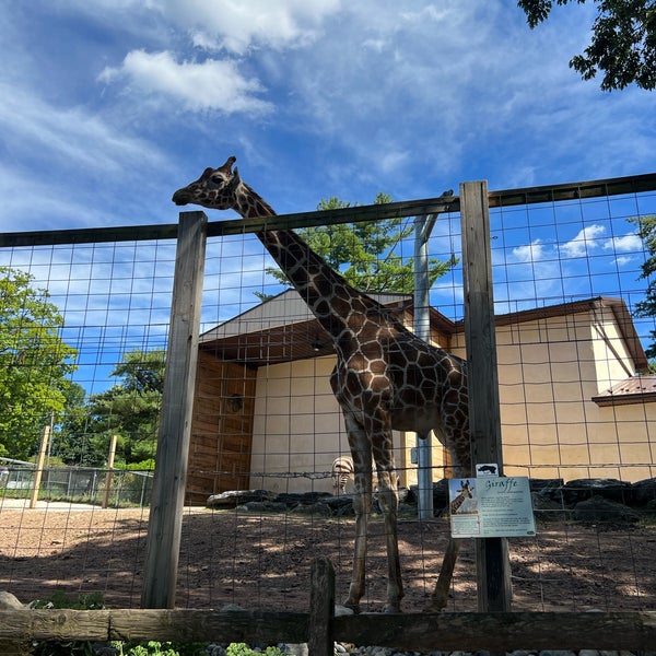 Foto tomada en Elmwood Park Zoo  por SedaS el 7/30/2022