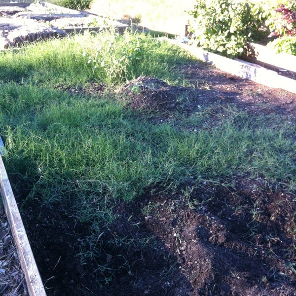 Dunbar Park And Recreation Center Other Great Outdoors in Dunbar