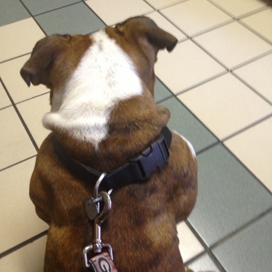 10/30/2012에 Amy B.님이 Brykerwood Veterinary Clinic에서 찍은 사진