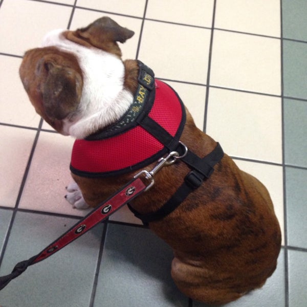 9/25/2014にAmy B.がBrykerwood Veterinary Clinicで撮った写真
