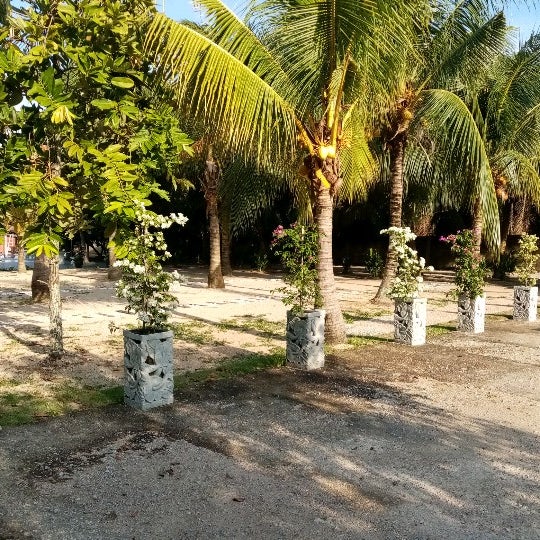 Photos At Homestay Kg Pak Ali