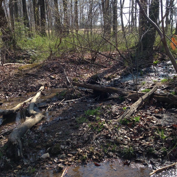 Christmas Tree Park Park