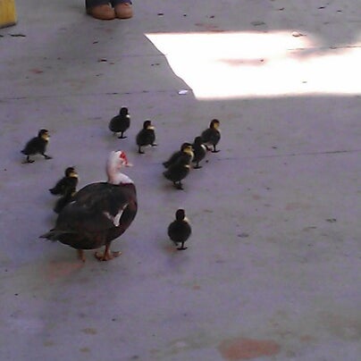Photo taken at Broward College North Campus by Maoli S. on 10/16/2012