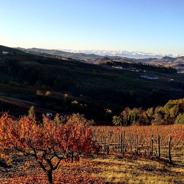 รูปภาพถ่ายที่ Azienda Agricola Fratelli Aimasso โดย Fratelli A. เมื่อ 11/10/2017