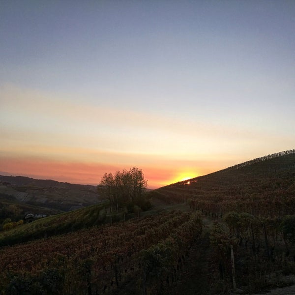 10/23/2017 tarihinde Fratelli A.ziyaretçi tarafından Azienda Agricola Fratelli Aimasso'de çekilen fotoğraf