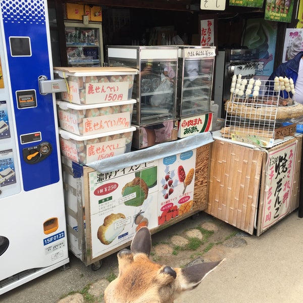 Photos At 永野鹿鳴荘 奈良公園 0 Tips