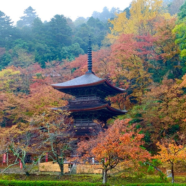 金剛院三重塔 鹿原