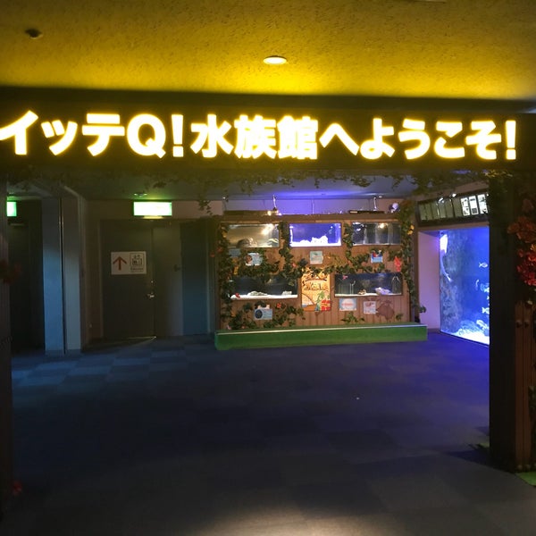Photos At イッテq 水族館 Now Closed 金沢区 102 Visitors