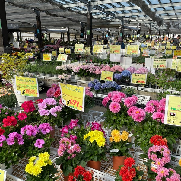 花市場 970 Ziyaretcidan 4 Tavsiye