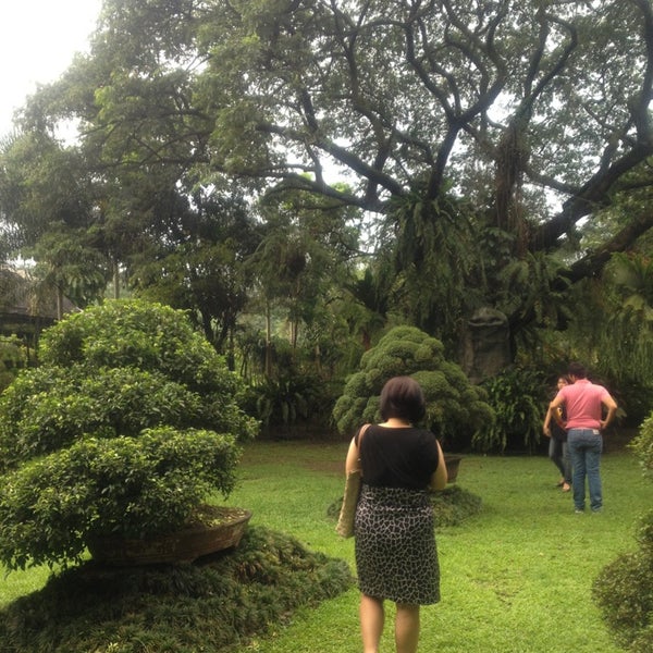 Bonsai Garden Up Diliman Contact Number Fasci Garden