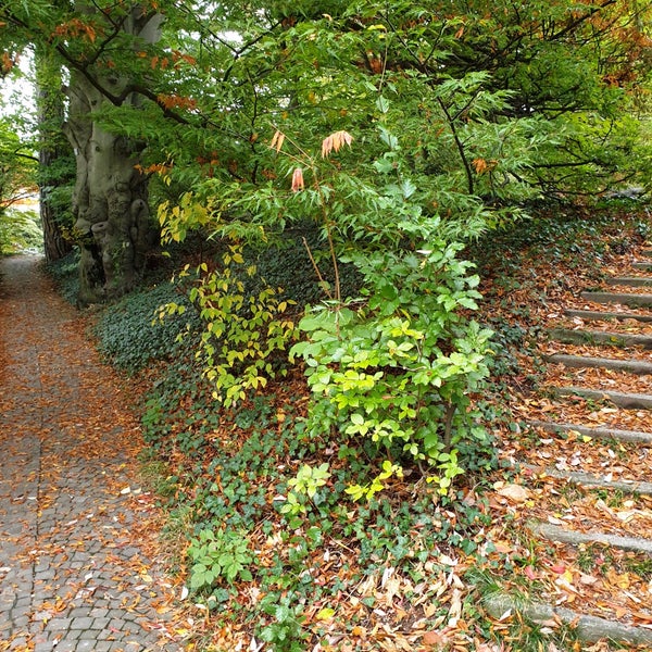 Alter Botanischer Garten Park in Zürich
