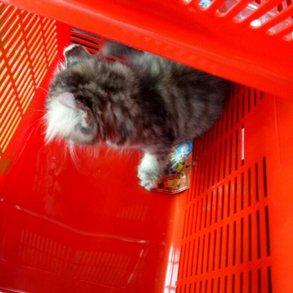 Jabatan Perkhidmatan Veterinar Negeri Kedah Alor Star Kedah