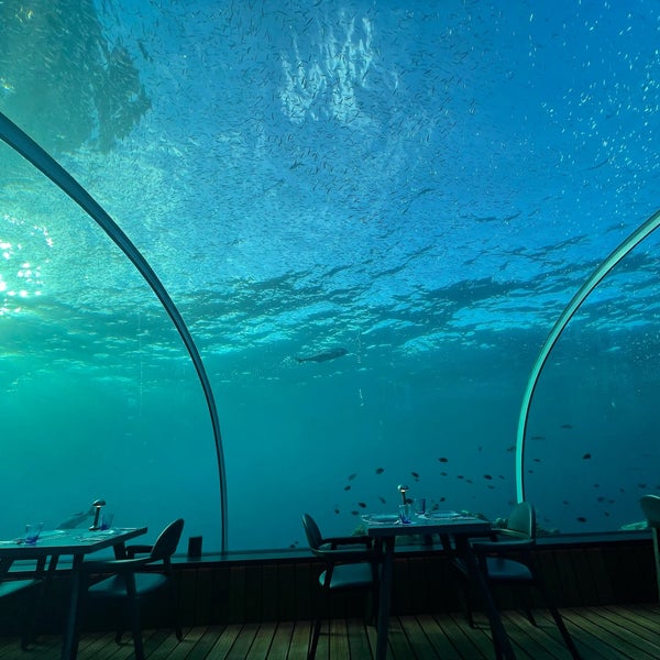Ресторан 5 8 Undersea Restaurant