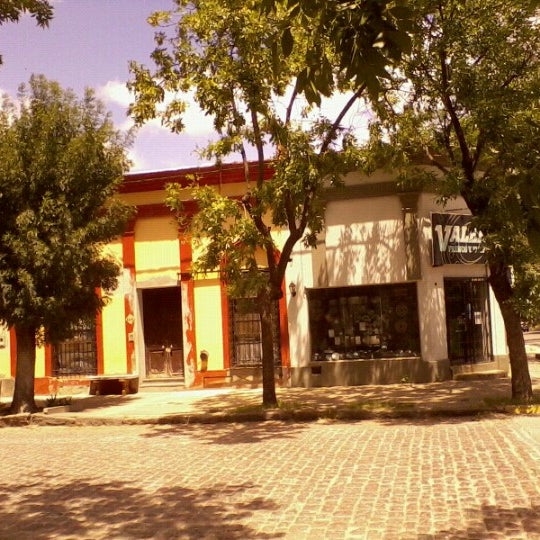 candida chascomus candida chascomus