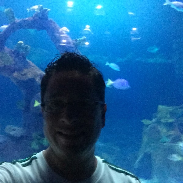 7/20/2018에 Alejandro E.님이 Aquarium Cancun에서 찍은 사진