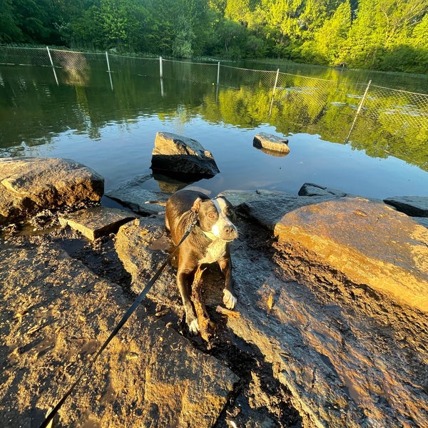 Photos at Prospect Park Dog Beach Prospect Park 8 tips from 1169 visitors