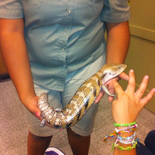 Photo taken at Reptilia by Rach L. on 9/22/2012