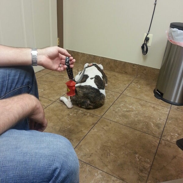Photos At Noah S Ark Veterinary Boarding Resort Pet Service In