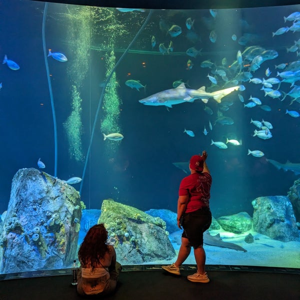 Photo taken at New York Aquarium by Furio on 5/24/2024