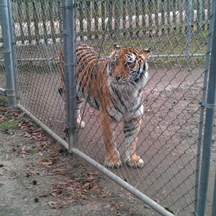 Photo taken at Alabama Gulf Coast Zoo by Stephanie M. on 12/28/2012