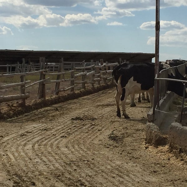 Photos at Reed's Dairy Inc. 2660 W Broadway St