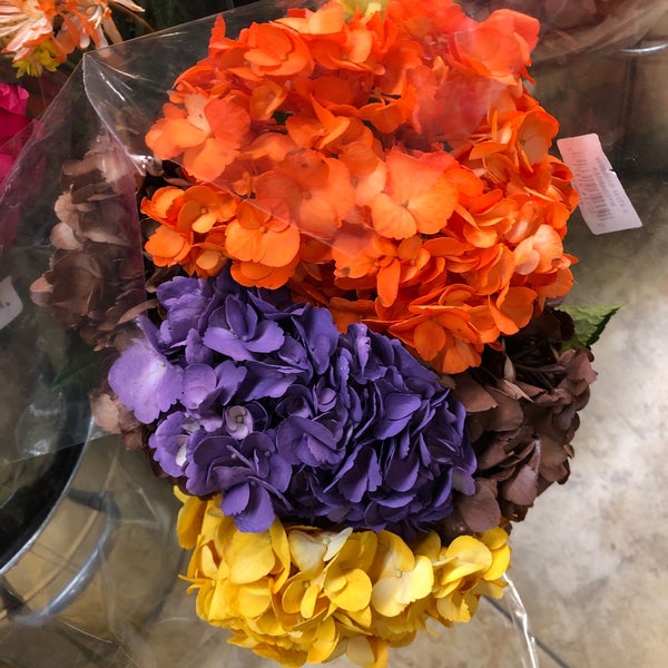 Giant Eagle Flowers Best Flower Site