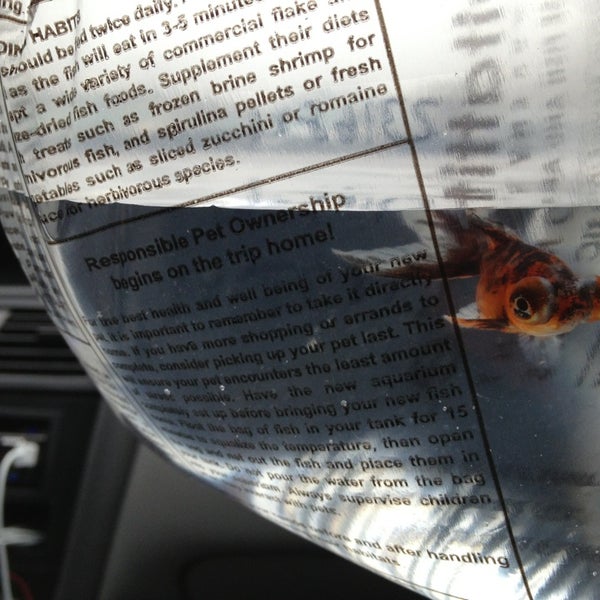 Photos at PetSmart East Louisville Louisville, KY