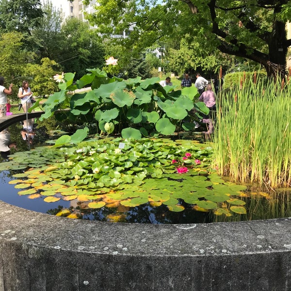 Alter Botanischer Garten Park in Zürich