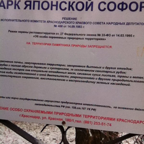Парк софора отрадная краснодарский край