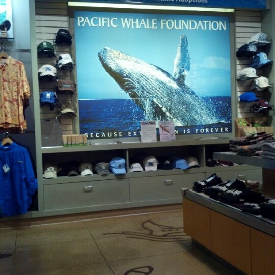 Photo taken at Pacific Whale Foundation by Ash Y. on 12/14/2012