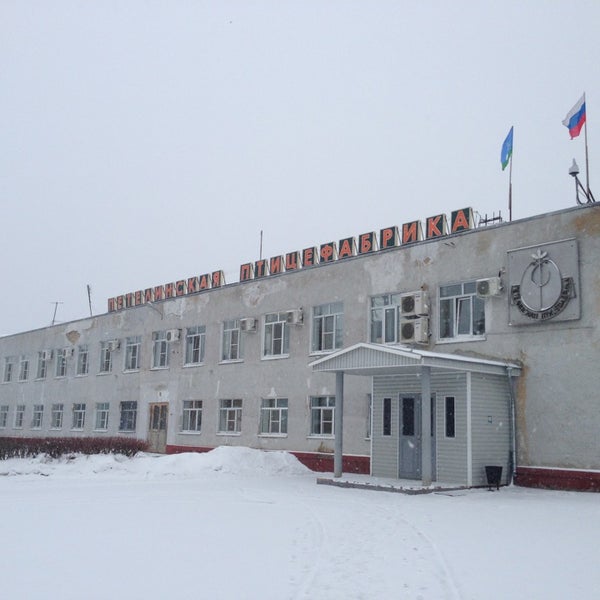 Петергоф птицефабрика. Саянский бройлер оп мегетское. Птичники ленобласти. Петергоф птицефабрика. Петергоф птицефабрика.