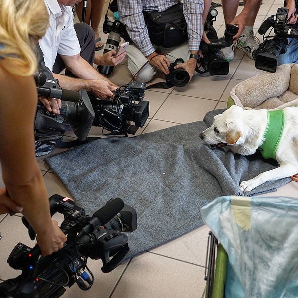 SPCA Suncoast Animal Shelter in New Port Richey